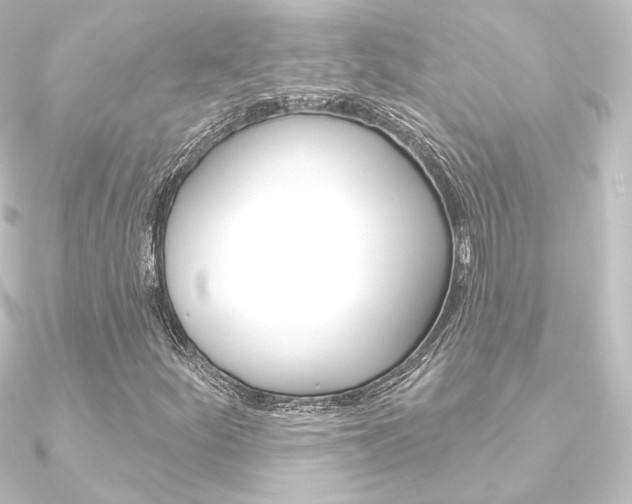 X0000090951252200708021054