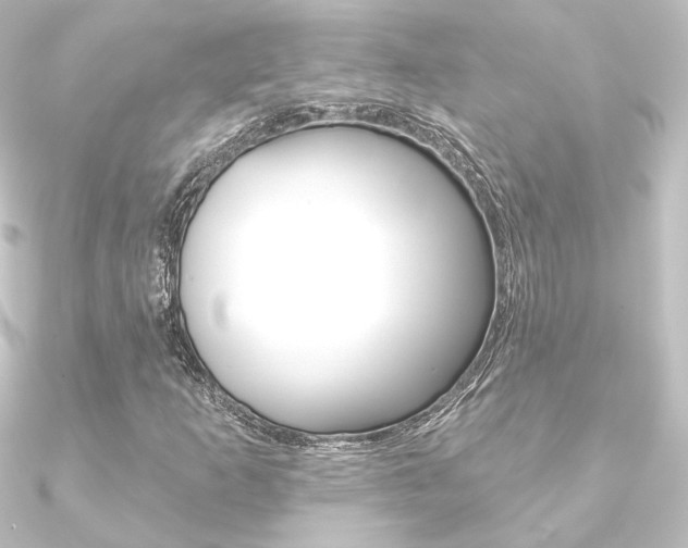 X0000090951253200708021054