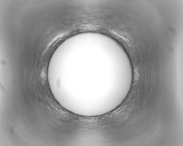 X0000090951254200708021054