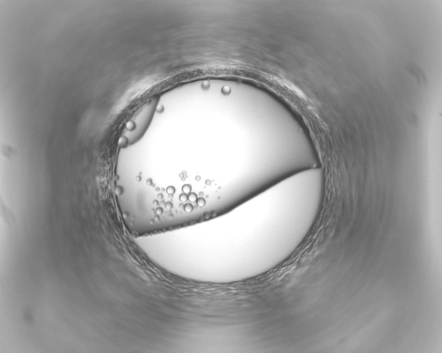 X0000090951255200708021054