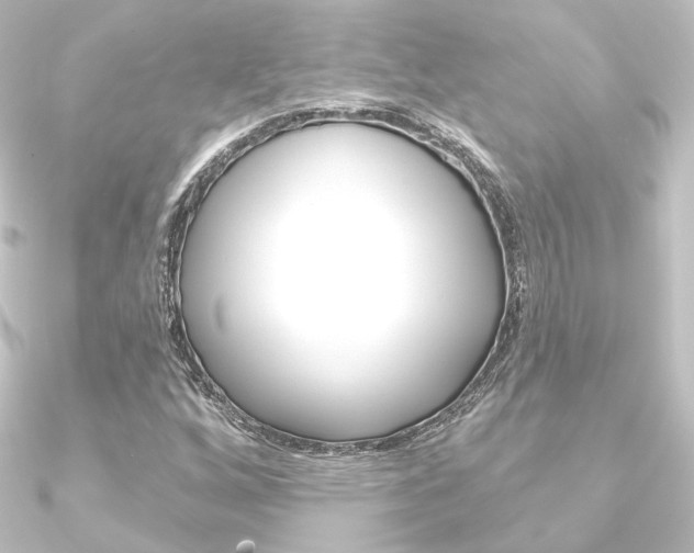 X0000090951256200708021054