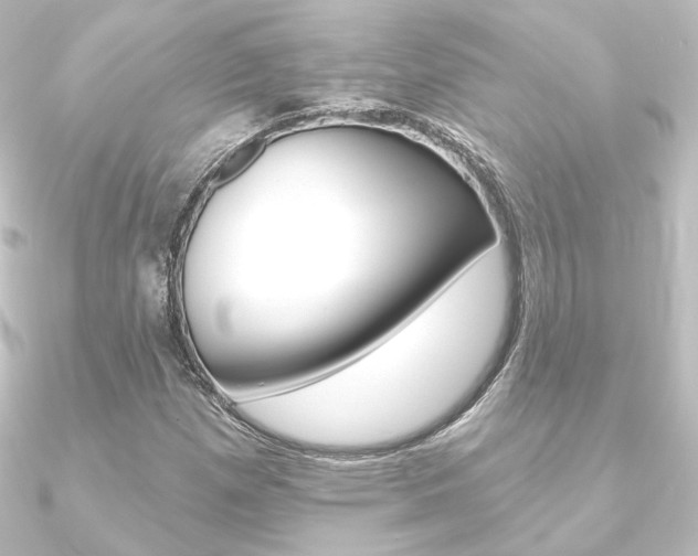 X0000090951257200708021054