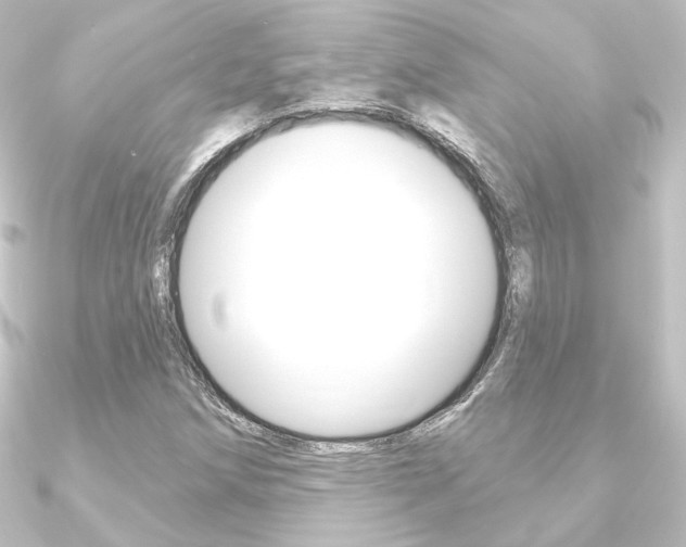 X0000090951258200708021054