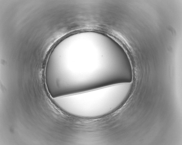 X0000090951260200708021054