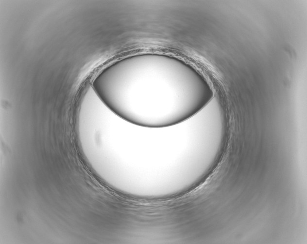 X0000090951261200708021054