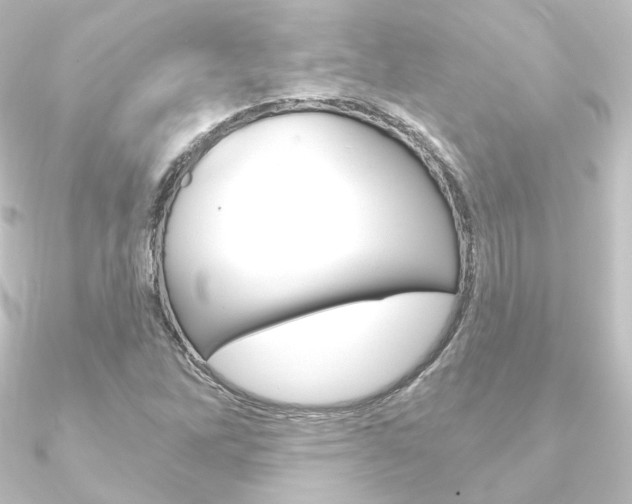 X0000090951262200708021054