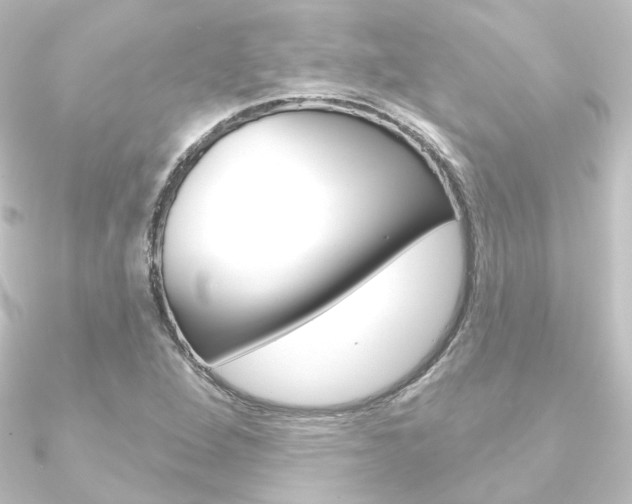 X0000090951264200708021054