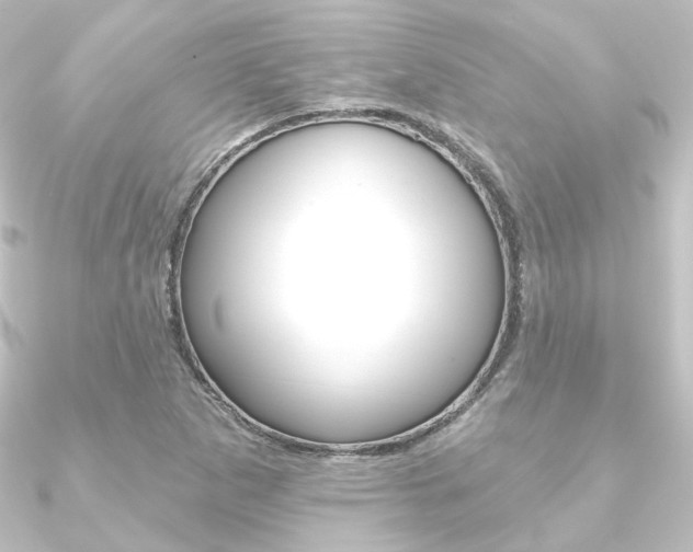 X0000090951265200708021054