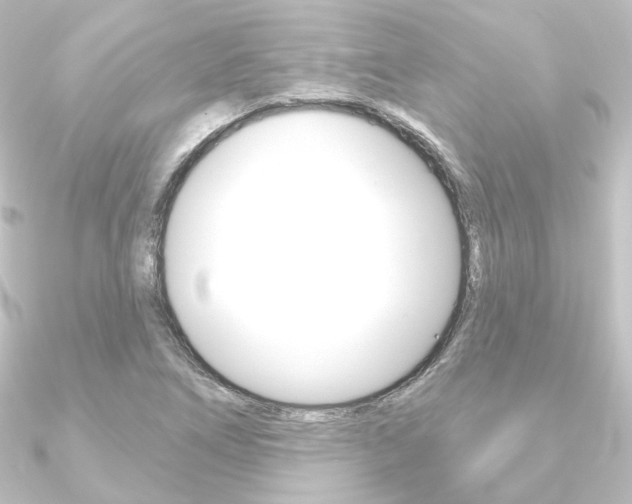 X0000090951266200708021054