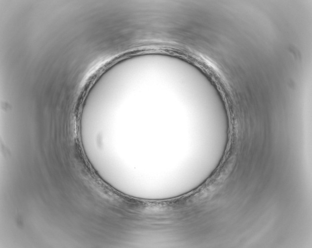X0000090951267200708021054