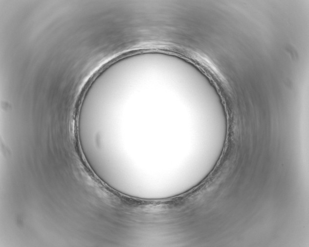 X0000090951268200708021054