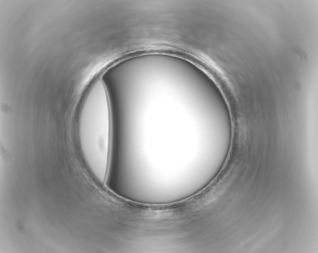 X0000090951269200708021054