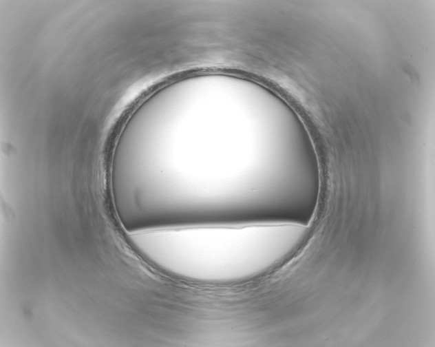 X0000090951270200708021054
