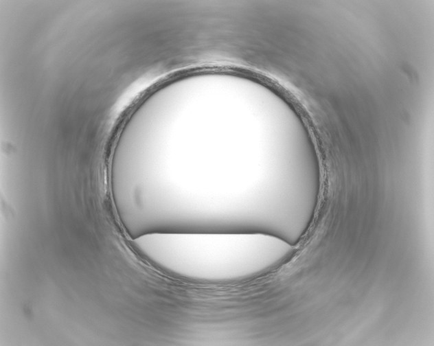 X0000090951271200708021054