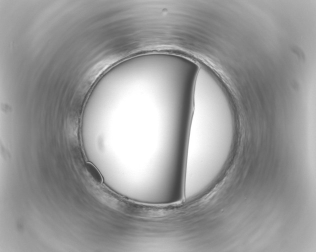 X0000090951273200708021053