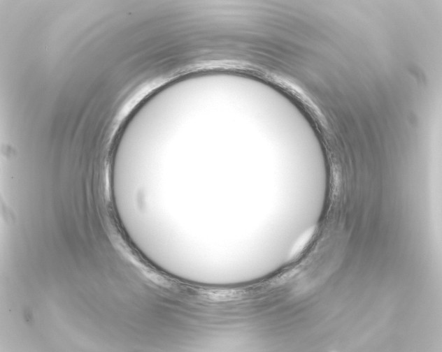 X0000090951274200708021053
