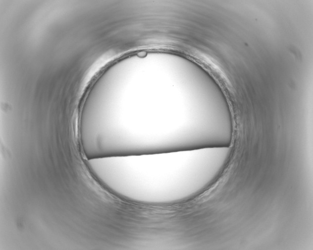 X0000090951275200708021053