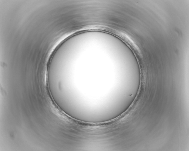 X0000090951276200708021053