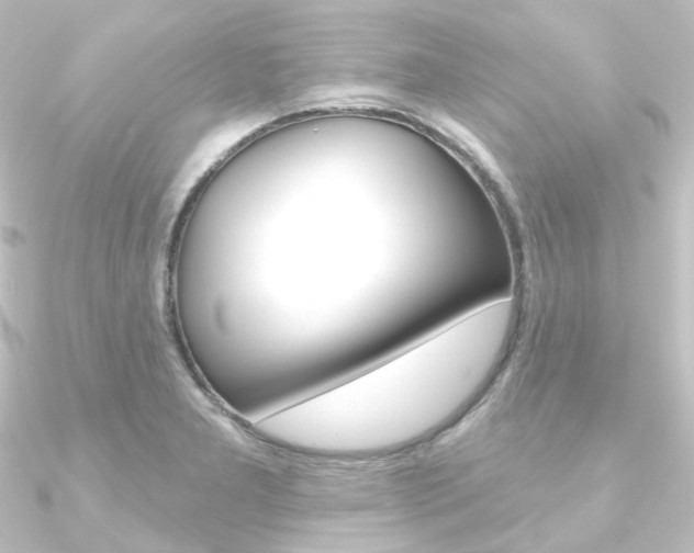 X0000090951277200708021053