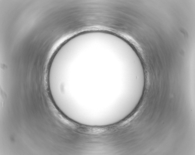 X0000090951278200708021053