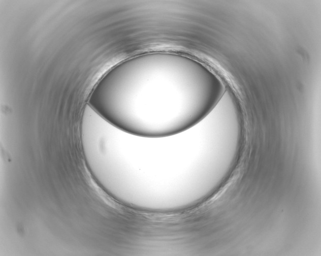 X0000090951281200708021053