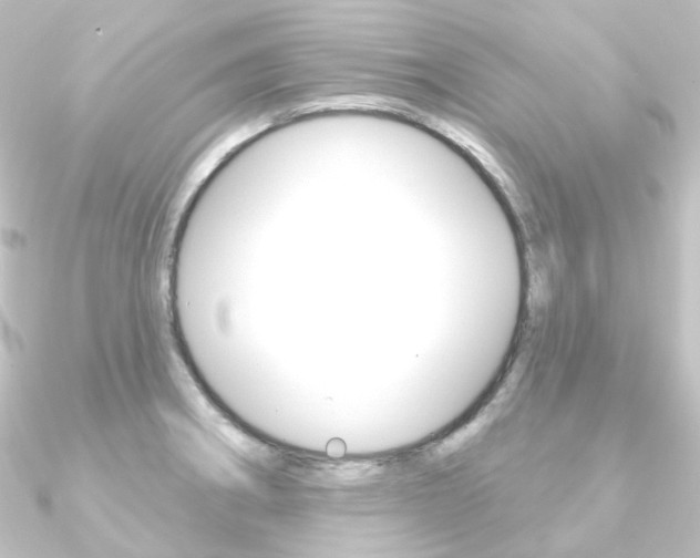 X0000090951282200708021053
