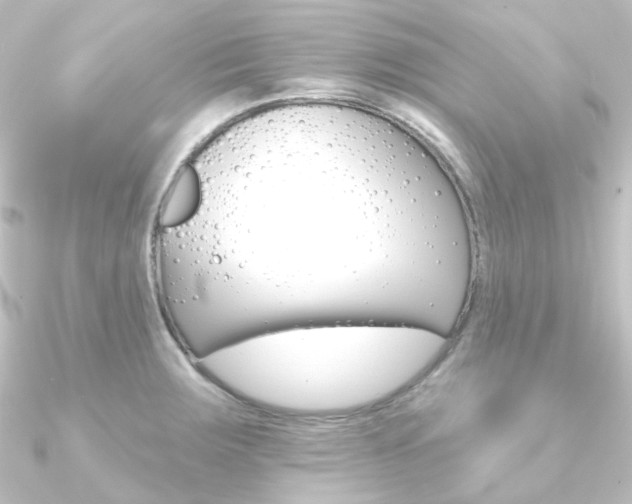X0000090951283200708021053