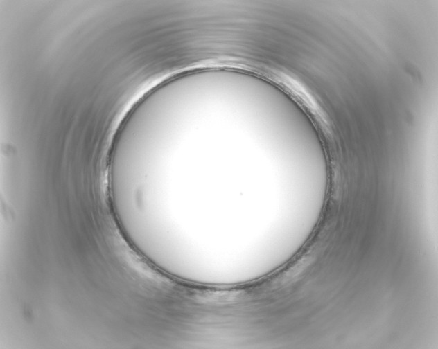 X0000090951284200708021053