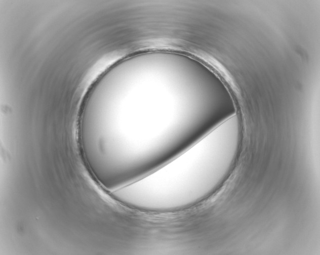 X0000090951285200708021053