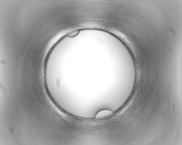 X0000090951286200708021053