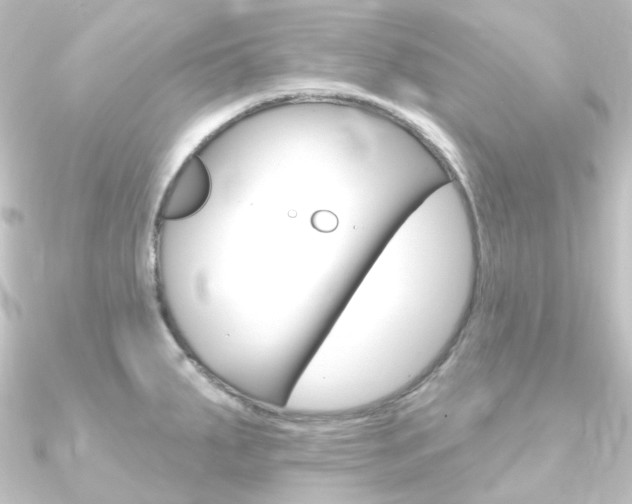 X0000090951287200708021053