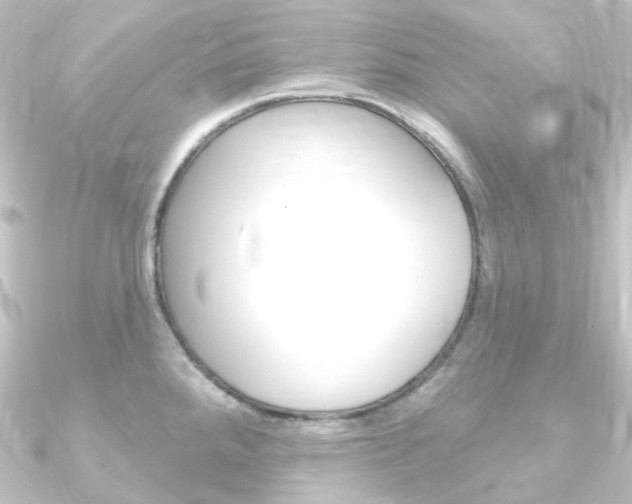 X0000090951288200708021053
