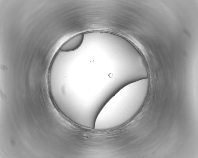 X0000090951291200708021053