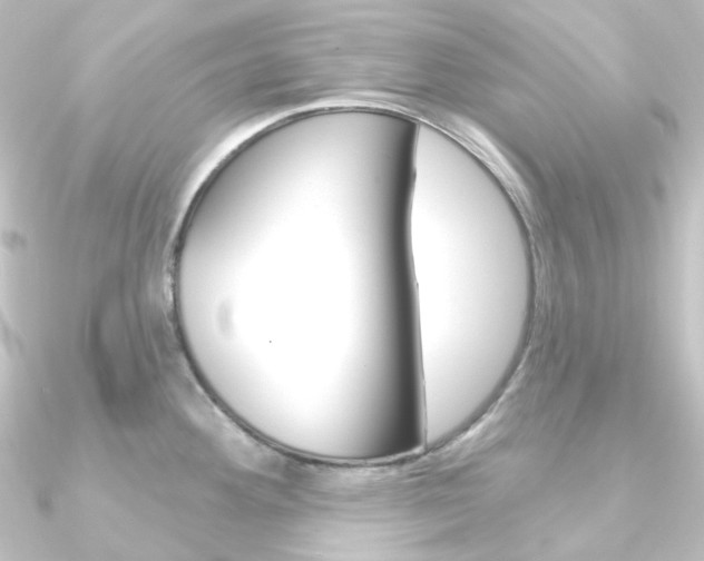 X0000090951292200708021053