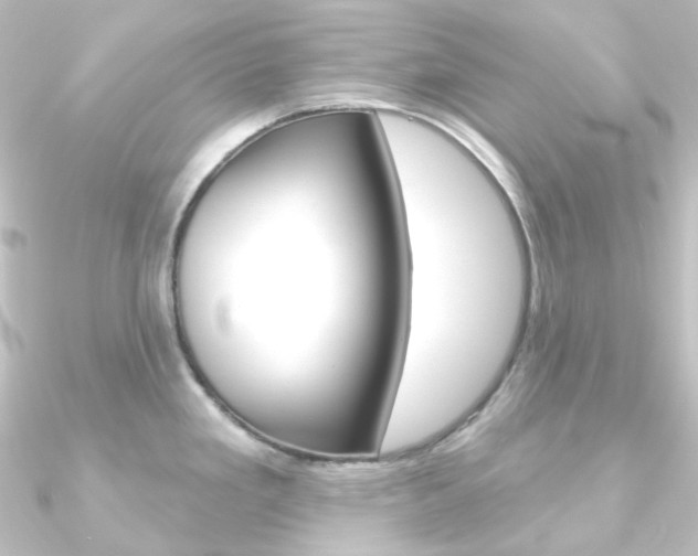 X0000090951293200708021053
