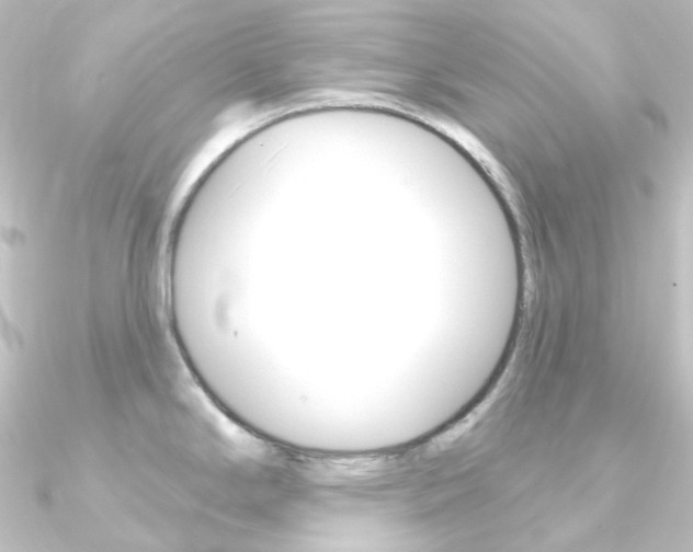 X0000090951294200708021053