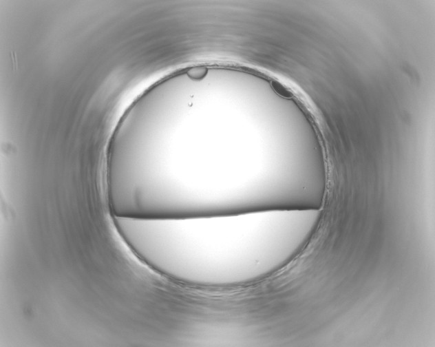 X0000090951295200708021053