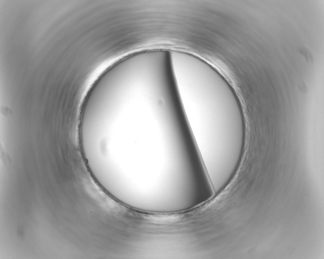 X0000090951296200708021053