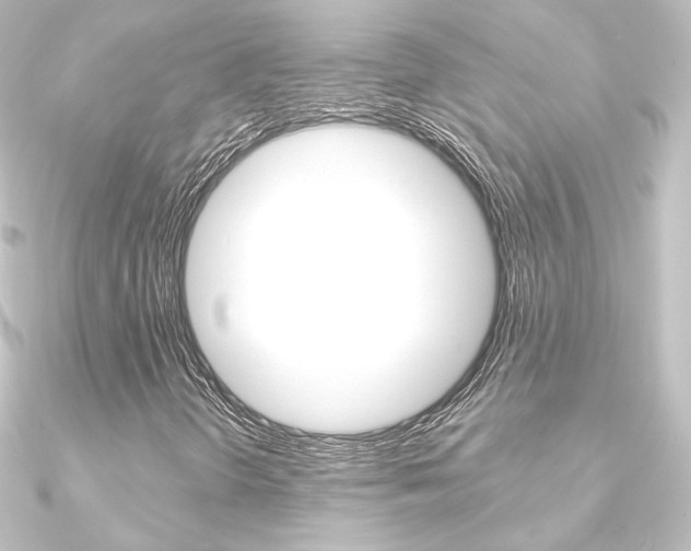 X0000090951298200708021053