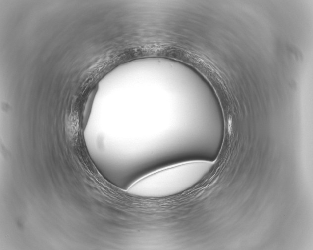 X0000090951299200708021053