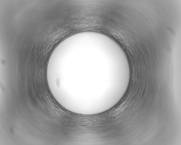 X0000090951300200708021053