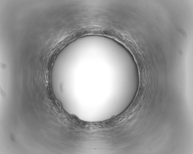 X0000090951301200708021053