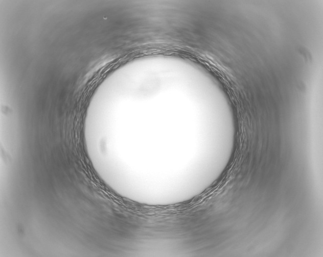 X0000090951302200708021053