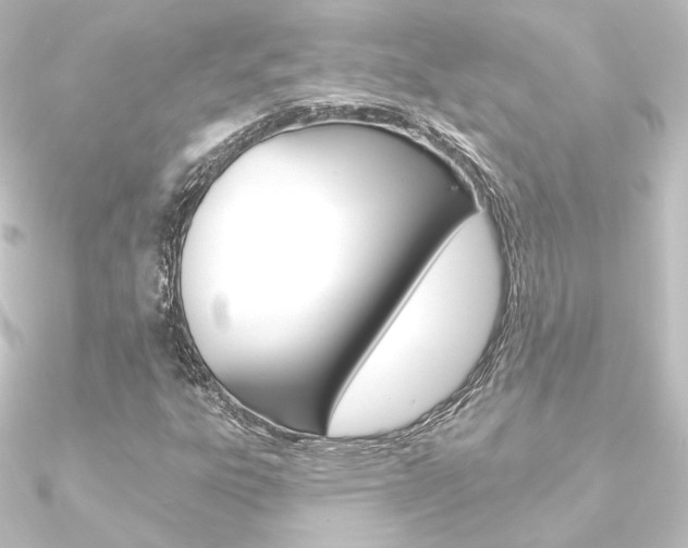 X0000090951303200708021053