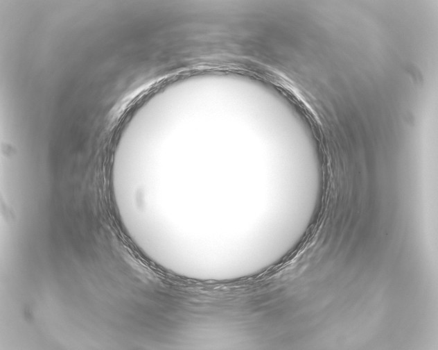 X0000090951304200708021053
