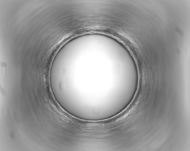 X0000090951305200708021053