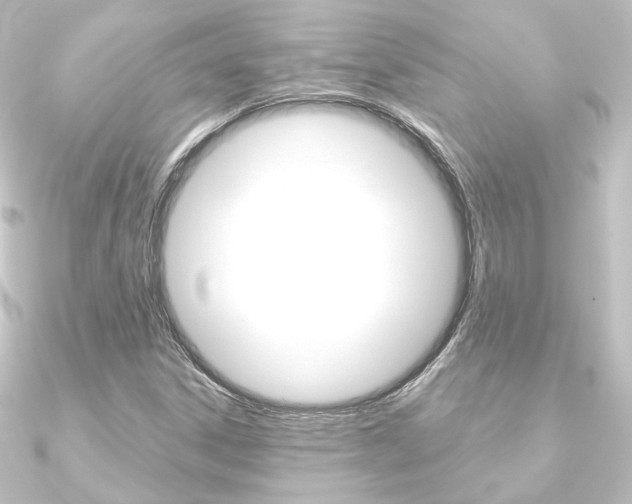 X0000090951306200708021053