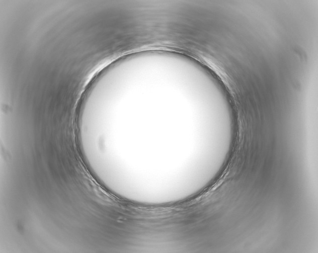 X0000090951308200708021053