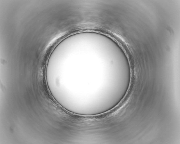 X0000090951309200708021053