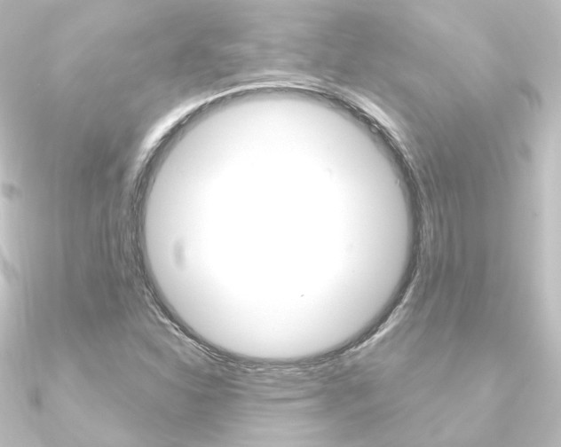 X0000090951310200708021053